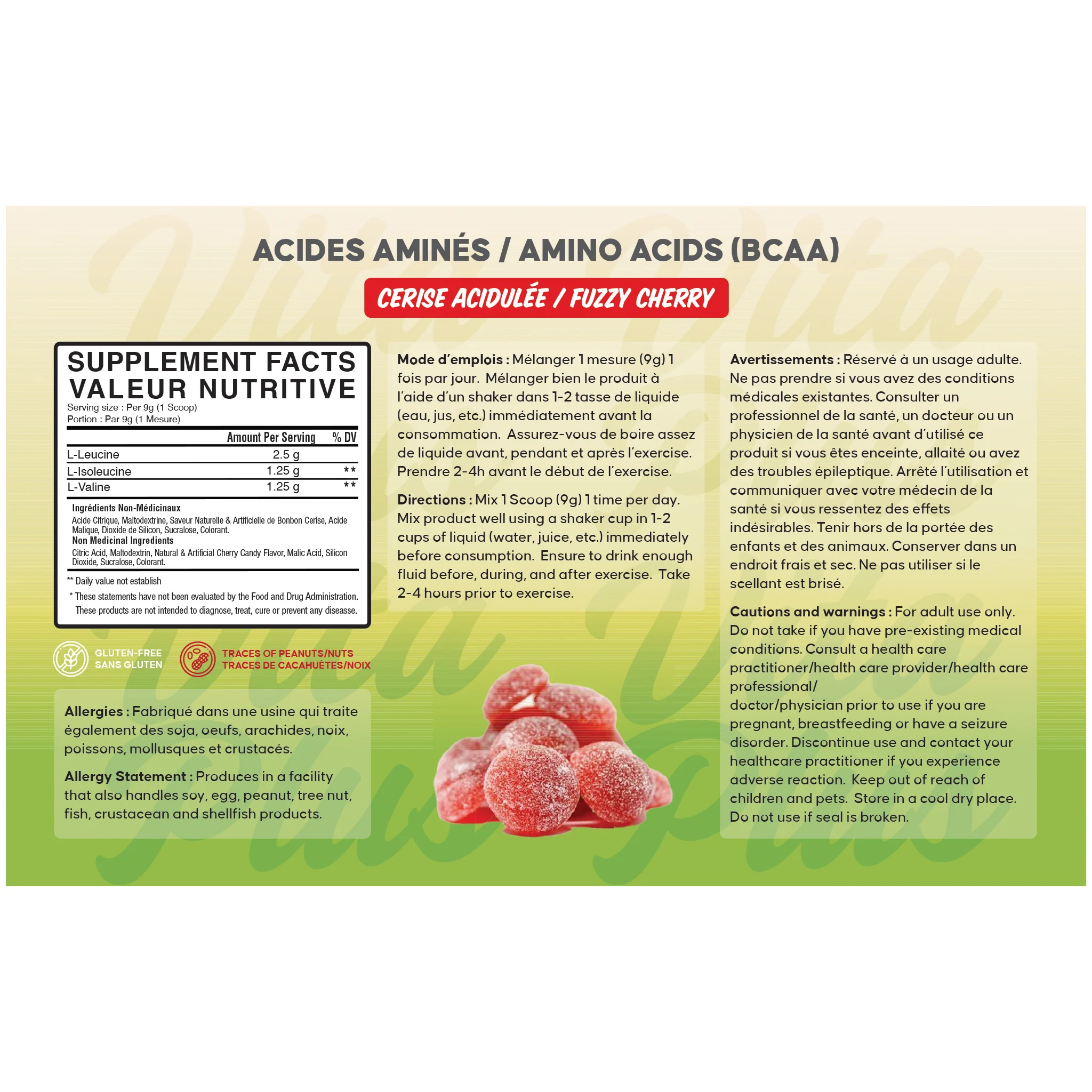 [BULK] Instantized BCAA 2:1:1 (100g to 10kg) - Image 3